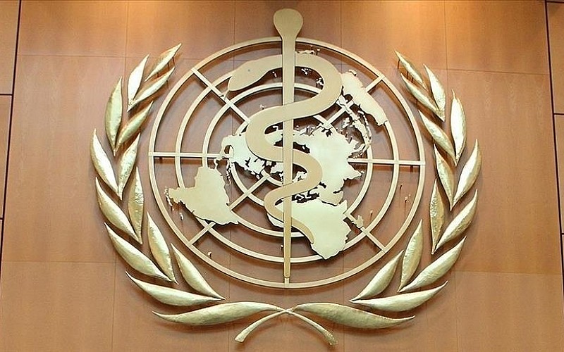 Dünya Sağlık Örgütüne göre, 2024'te sıtma nedeniyle 610 bin kişi hayatını kaybetti Dünya Sağlık Örgütüne göre, 2024'te sıtma nedeniyle 610 bin kişi hayatını kaybetti