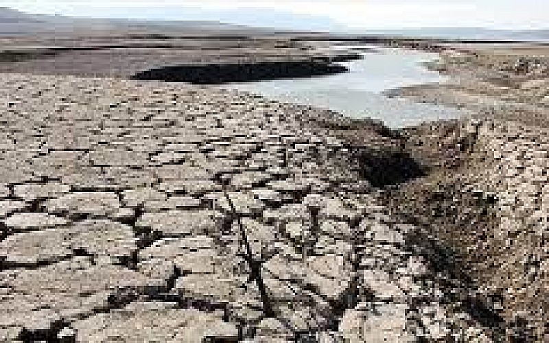 Kuraklık hububatta ekim takvimini değiştirdi Kuraklık hububatta ekim takvimini değiştirdi