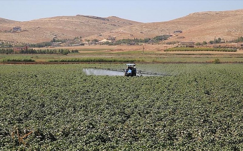 Gübre ham maddesi üre için ithalatta gümrük vergisi sıfırlandı Gübre ham maddesi üre için ithalatta gümrük vergisi sıfırlandı