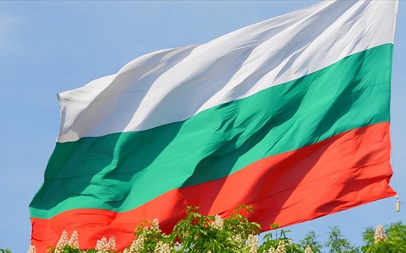 Bulgaristan'da 'Uluslararası Anadili Günü' kutlandı Bulgaristan'da 'Uluslararası Anadili Günü' kutlandı