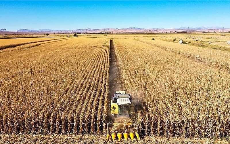 Bilinçsiz tarım geleceğimizi kurutuyor Bilinçsiz tarım geleceğimizi kurutuyor