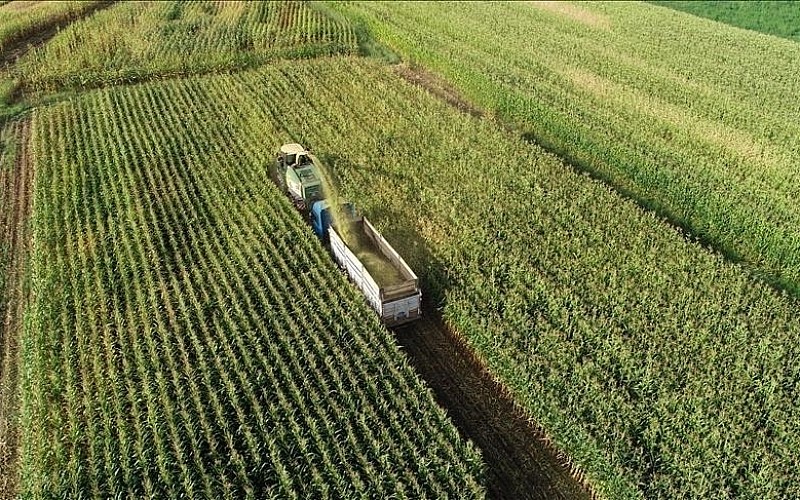 Çiftçilere 5,5 milyar lira destek ödemesi bugün yapılacak Çiftçilere 5,5 milyar lira destek ödemesi bugün yapılacak